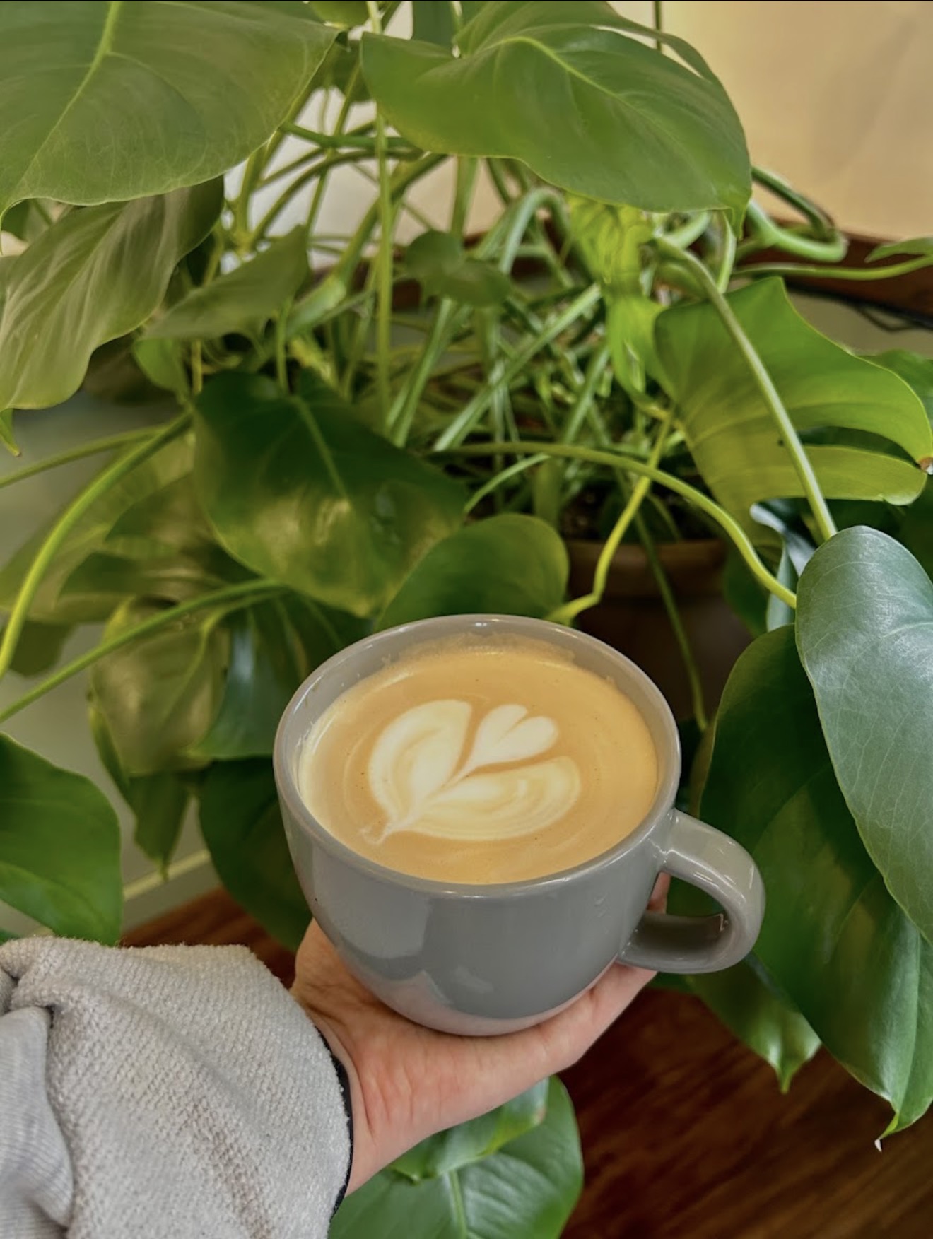 Latte